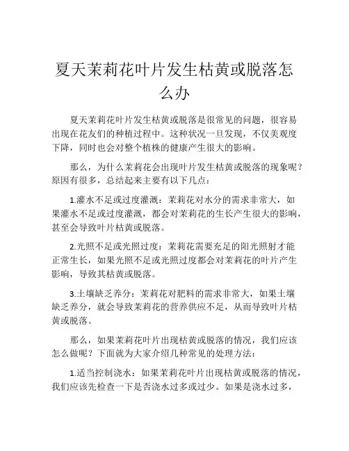 夏天茉莉花叶片发生枯黄或脱落怎么办