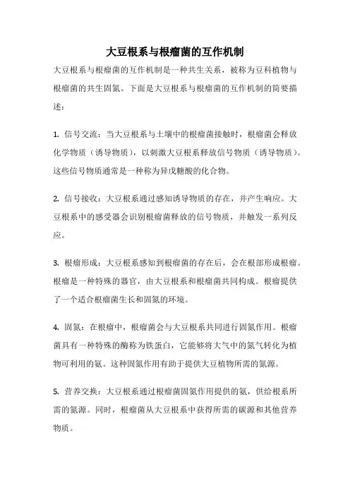 大豆根系与根瘤菌的互作机制