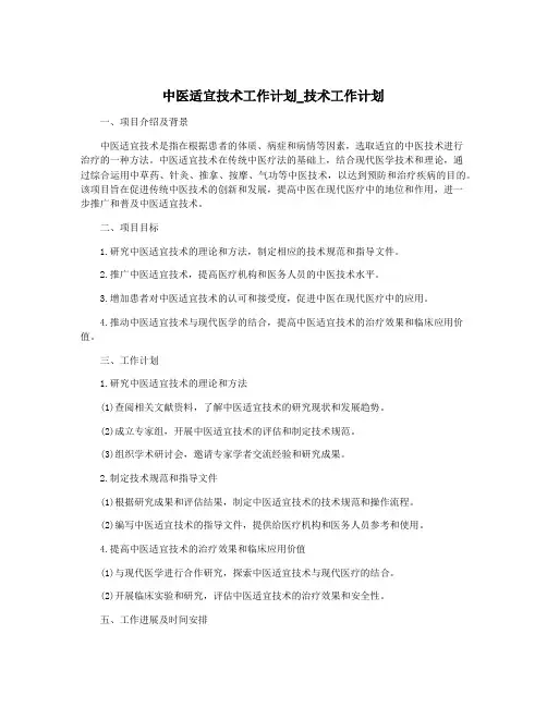 中医适宜技术工作计划_技术工作计划