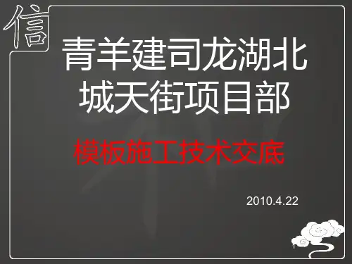 模板技术交底PPT课件