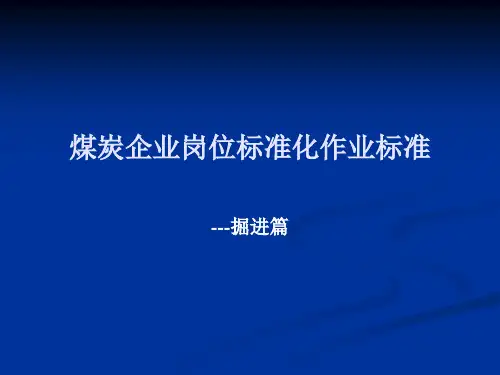 煤炭企业岗位标准化作业标准掘进篇