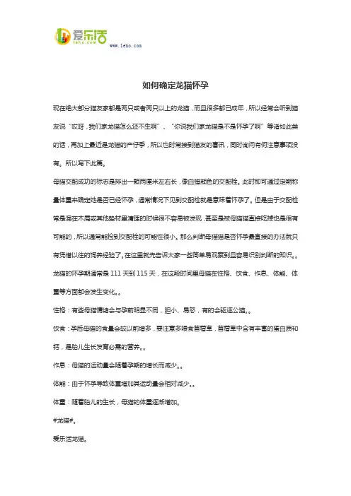 如何确定龙猫怀孕