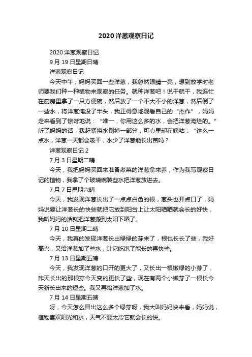 2020洋葱观察日记