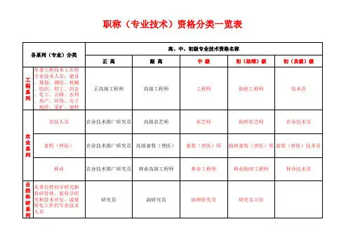 职称(专业技术)资格分类一览表