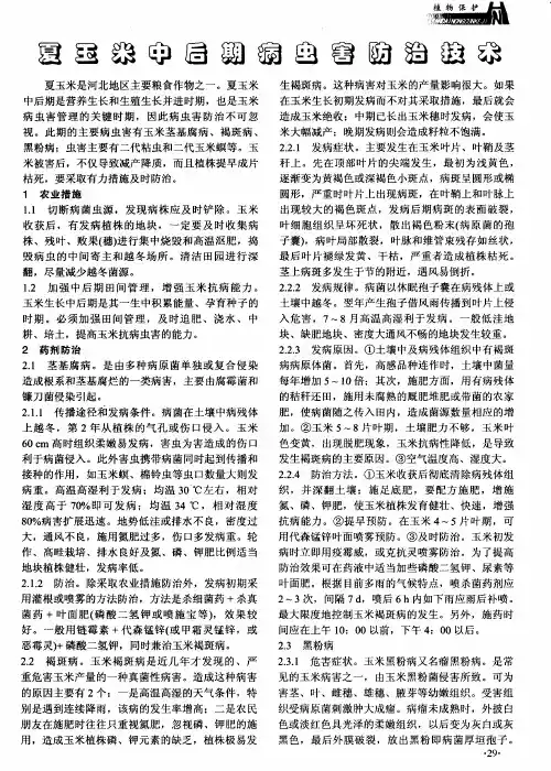 夏玉米中后期病虫害防治技术