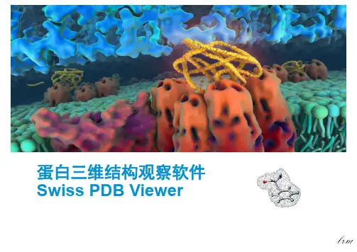 蛋白三维结构观察软件swisspdbviewer