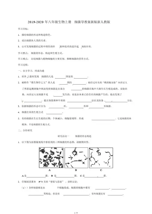 2019-八年级生物上册5.4.2细菌导学案新版新人教版
