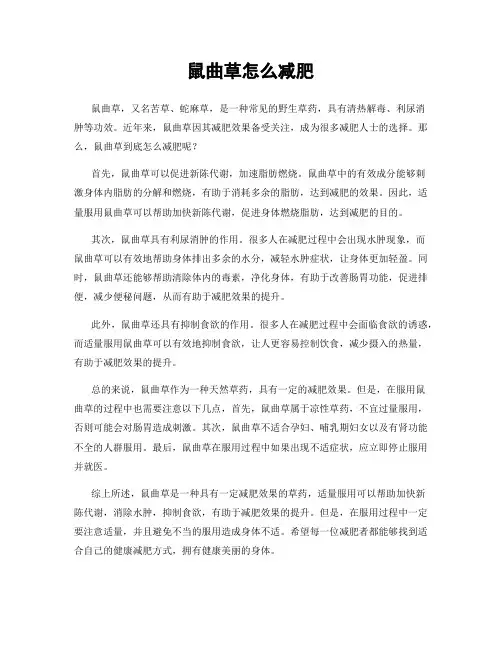 鼠曲草怎么减肥