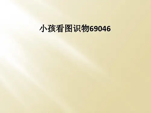 小孩看图识物69046