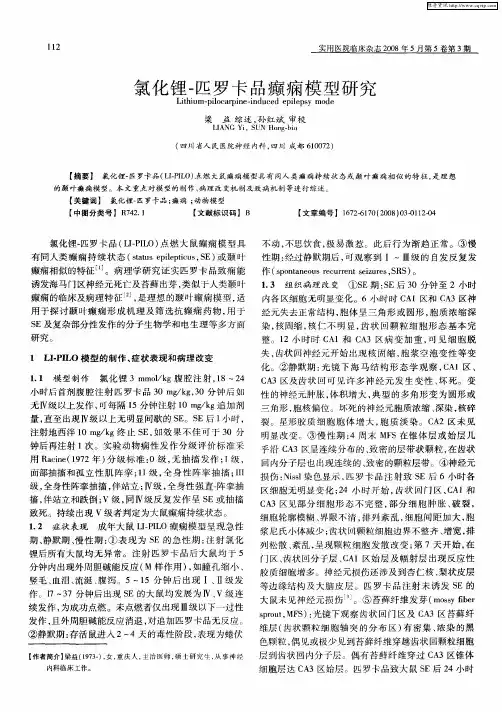 氯化锂-匹罗卡品癫痫模型研究