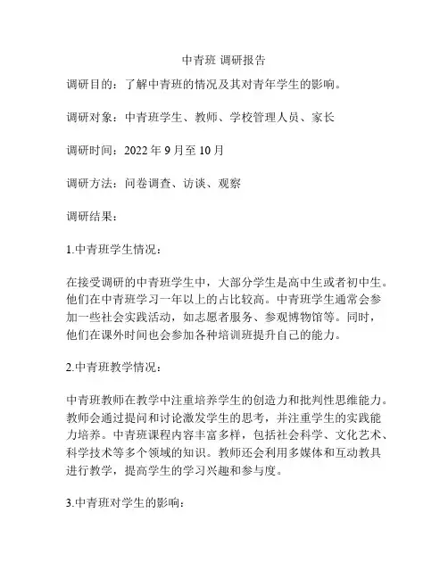 中青班 调研报告