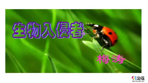 原创2：第19课 生物入侵者