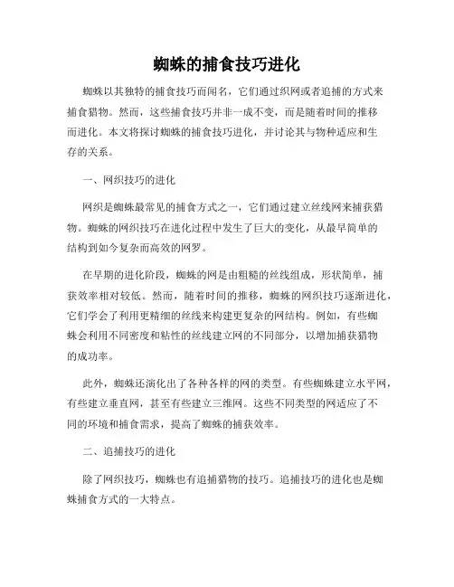 蜘蛛的捕食技巧进化