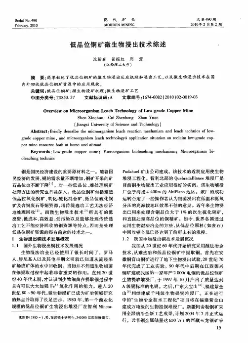 低品位铜矿微生物浸出技术综述