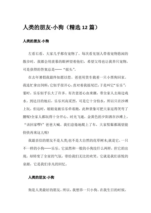 人类的朋友-小狗(精选12篇)