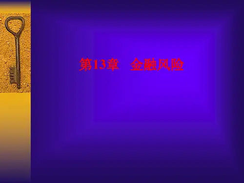 第13章 金融风险 货币金融学新版课件