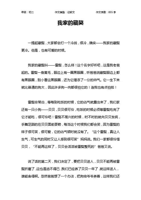 我家的藏獒作文【初中初二900字】