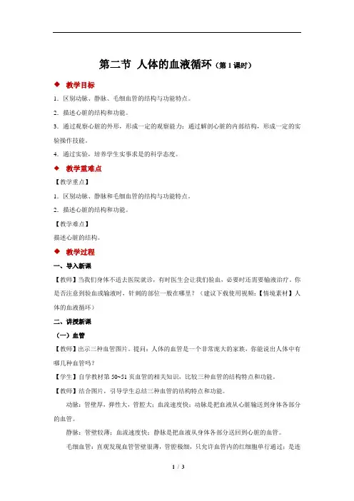 人体的血液循环+第1课时+示范教案