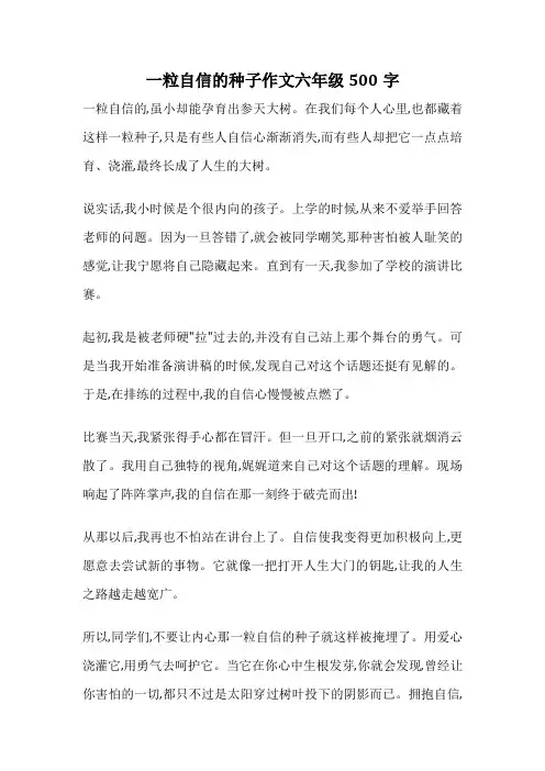 一粒自信的种子作文六年级500字