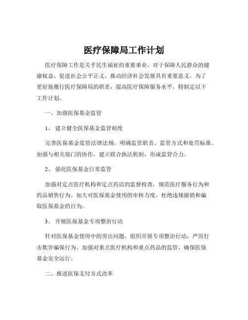 医疗保障局工作计划