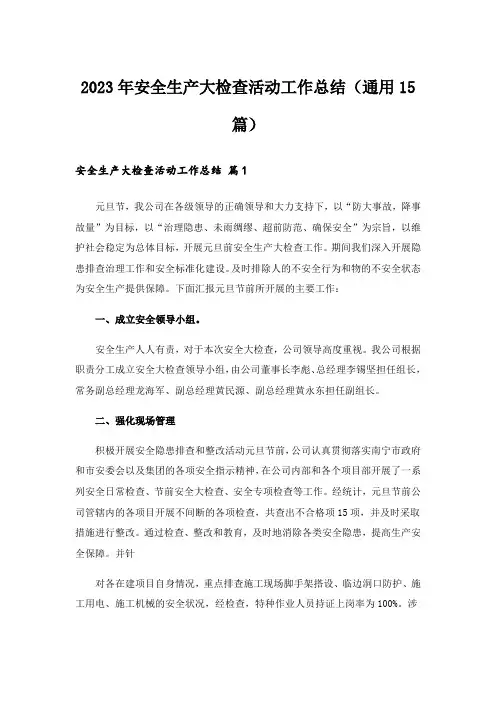 2023年安全生产大检查活动工作总结(通用15篇)