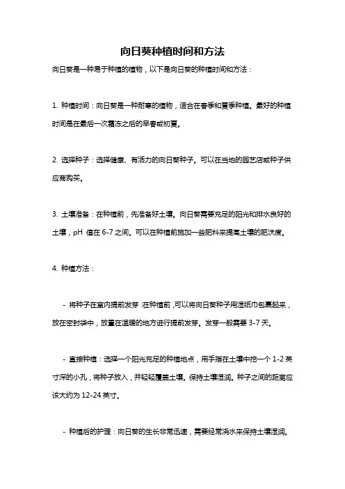 向日葵种植时间和方法