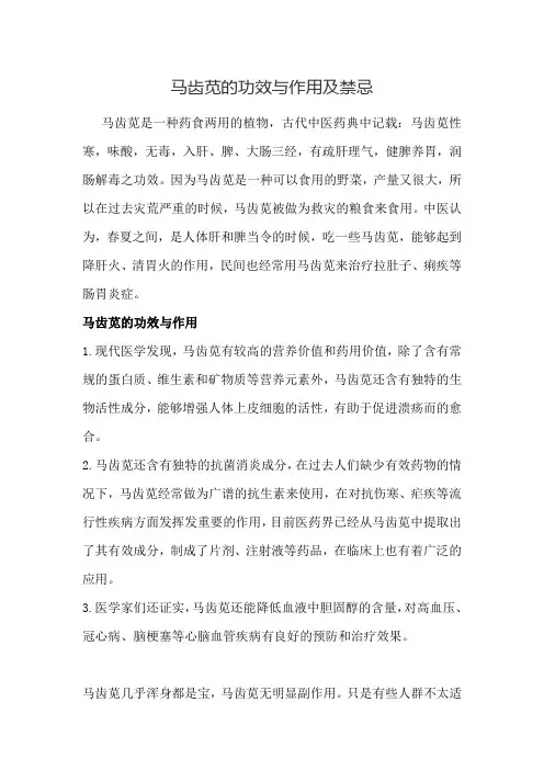 马齿苋的功效与作用及禁忌