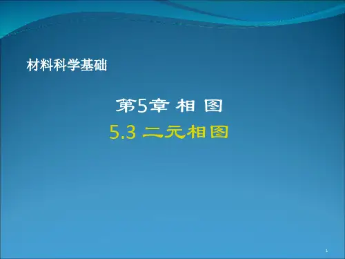 材料科学基础_第5章_二元相图