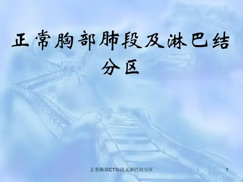 正常胸部CT肺段及淋巴结分区PPT课件