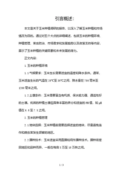 玉米种植调研报告2024