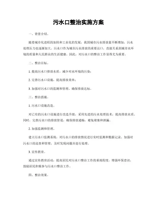污水口整治实施方案