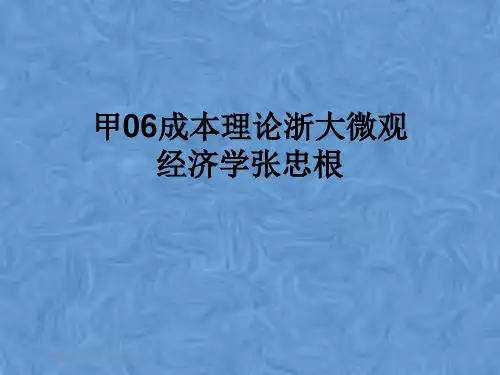 甲06成本理论浙大微观经济学张忠根