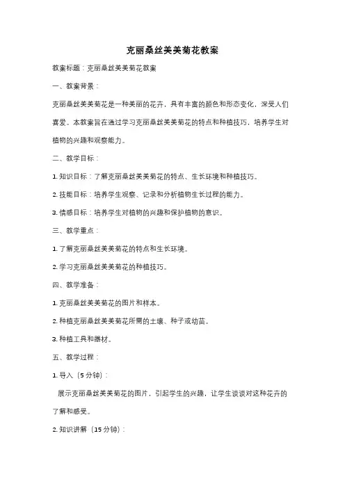 克丽桑丝美美菊花教案