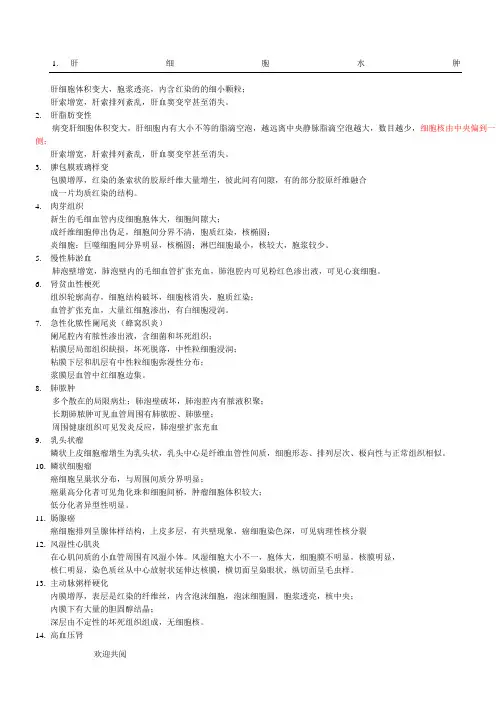 病理学 镜下切片