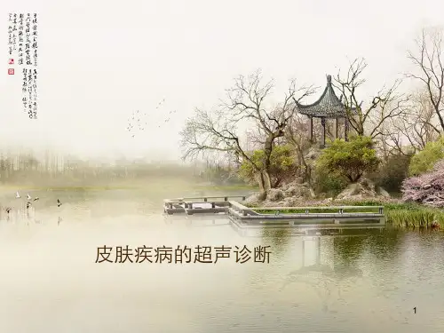 (推荐课件)皮肤疾病的超声诊断PPT幻灯片