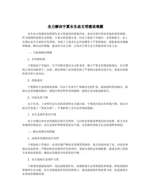 全力解决宁夏水生态文明建设难题