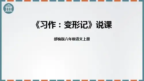 最新统编人教版语文六年级上册《变形记》精品教学课件