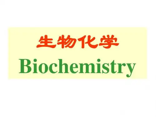 生物化学第三前半-PPT文档资料