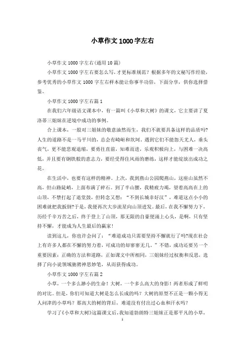 小草作文1000字左右