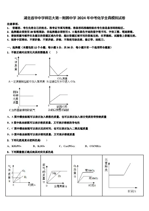 湖北省华中学师范大第一附属中学2024年中考化学全真模拟试卷含解析