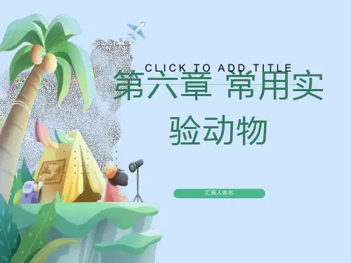 小鼠种类及特性