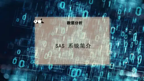 SAS 系统简介