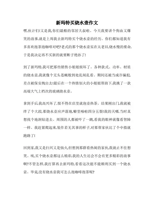 新玛特买烧水壶作文
