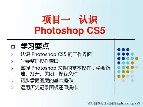 《图形图像处理》课件——项目一   认识Photoshop CS5