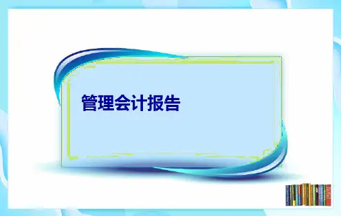 战略层管理会计报告