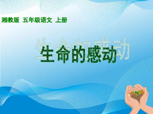 《生命的感动》(湘教版五年级上册语文)-完整版PPT课件