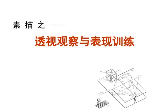 透视观察与表现训练