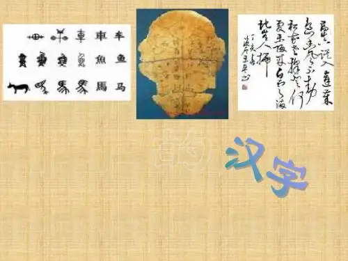 五年级上册语文课件-有趣的汉字｜人教新课标共36张PPT