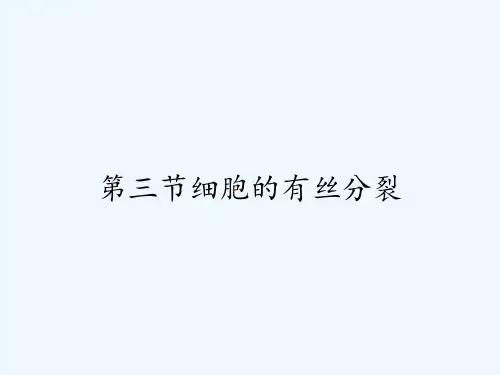 第三节细胞的有丝分裂 PPT