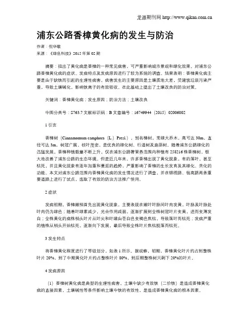 浦东公路香樟黄化病的发生与防治